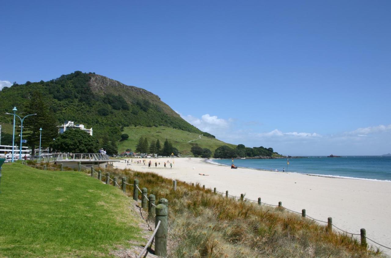 Kereru Cottage , Rural B&B, Tauranga Whakamarama Luaran gambar