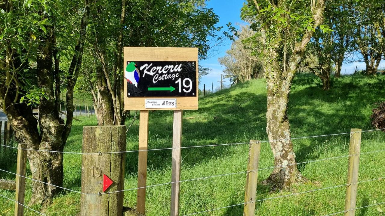 Kereru Cottage , Rural B&B, Tauranga Whakamarama Luaran gambar