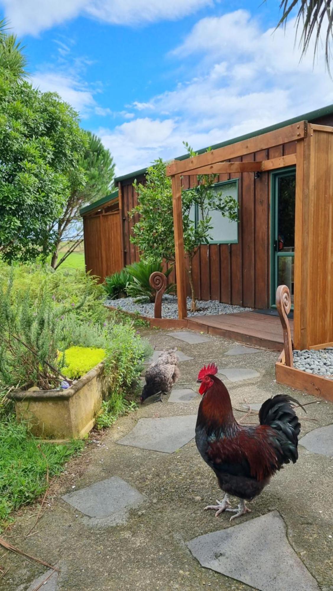 Kereru Cottage , Rural B&B, Tauranga Whakamarama Luaran gambar